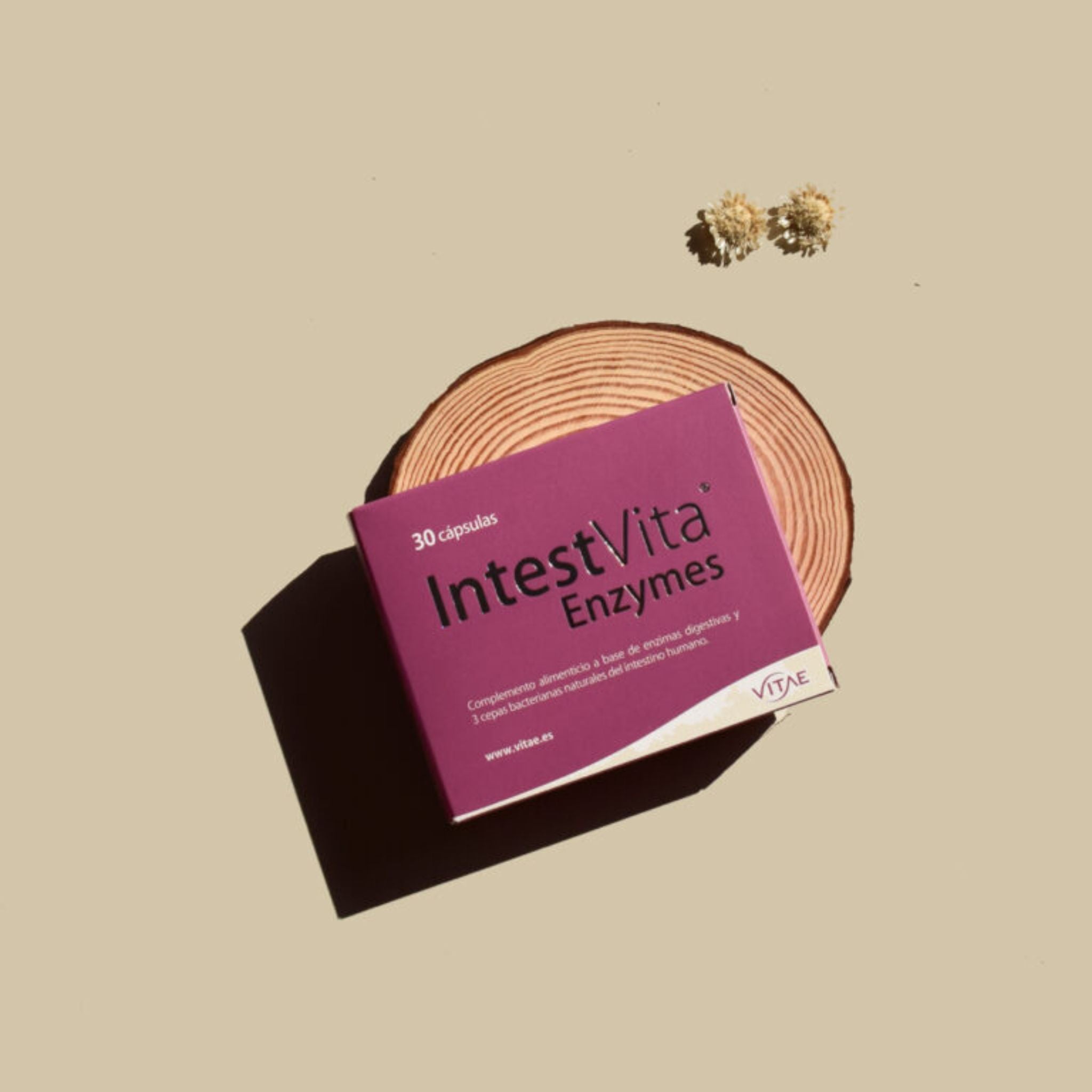Vitae IntestVita® Enzymes